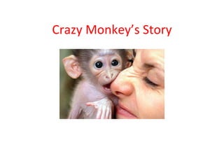 Crazy Monkey’s Story 