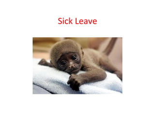 Sick Leave 