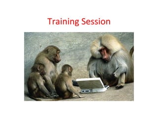 Training Session 