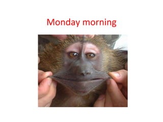 Monday morning 