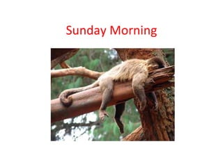 Sunday Morning 