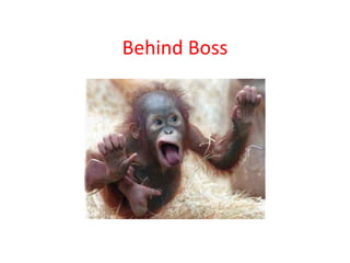 Behind Boss 