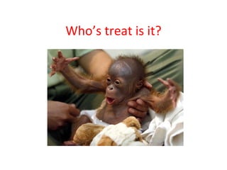 Who’s treat is it? 
