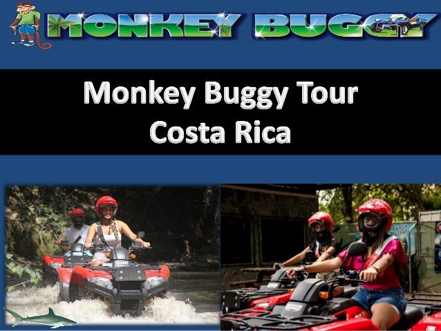 atv buggy tours