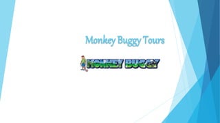 Monkey Buggy Tours
 