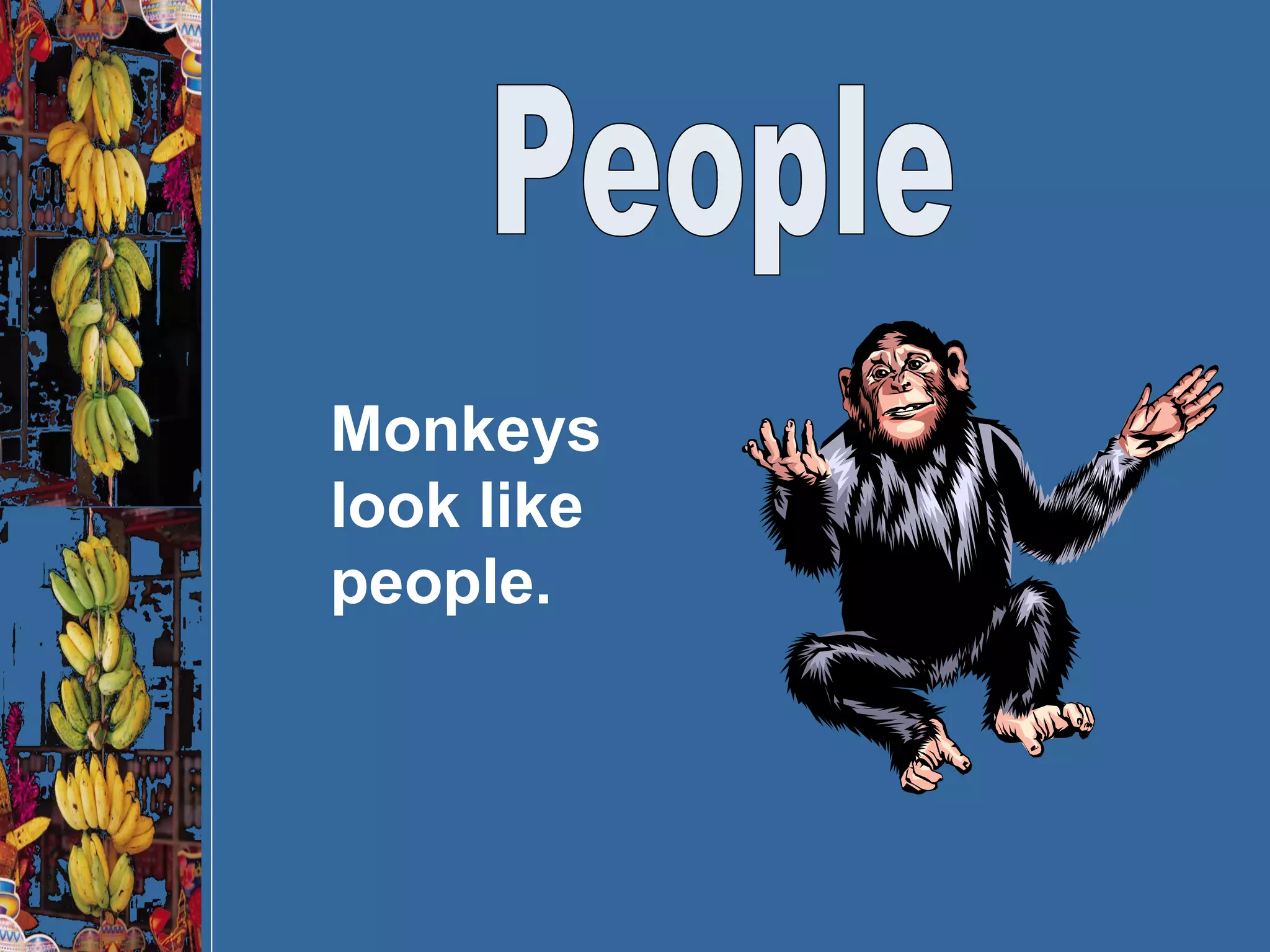 People Monkeys look like people. 