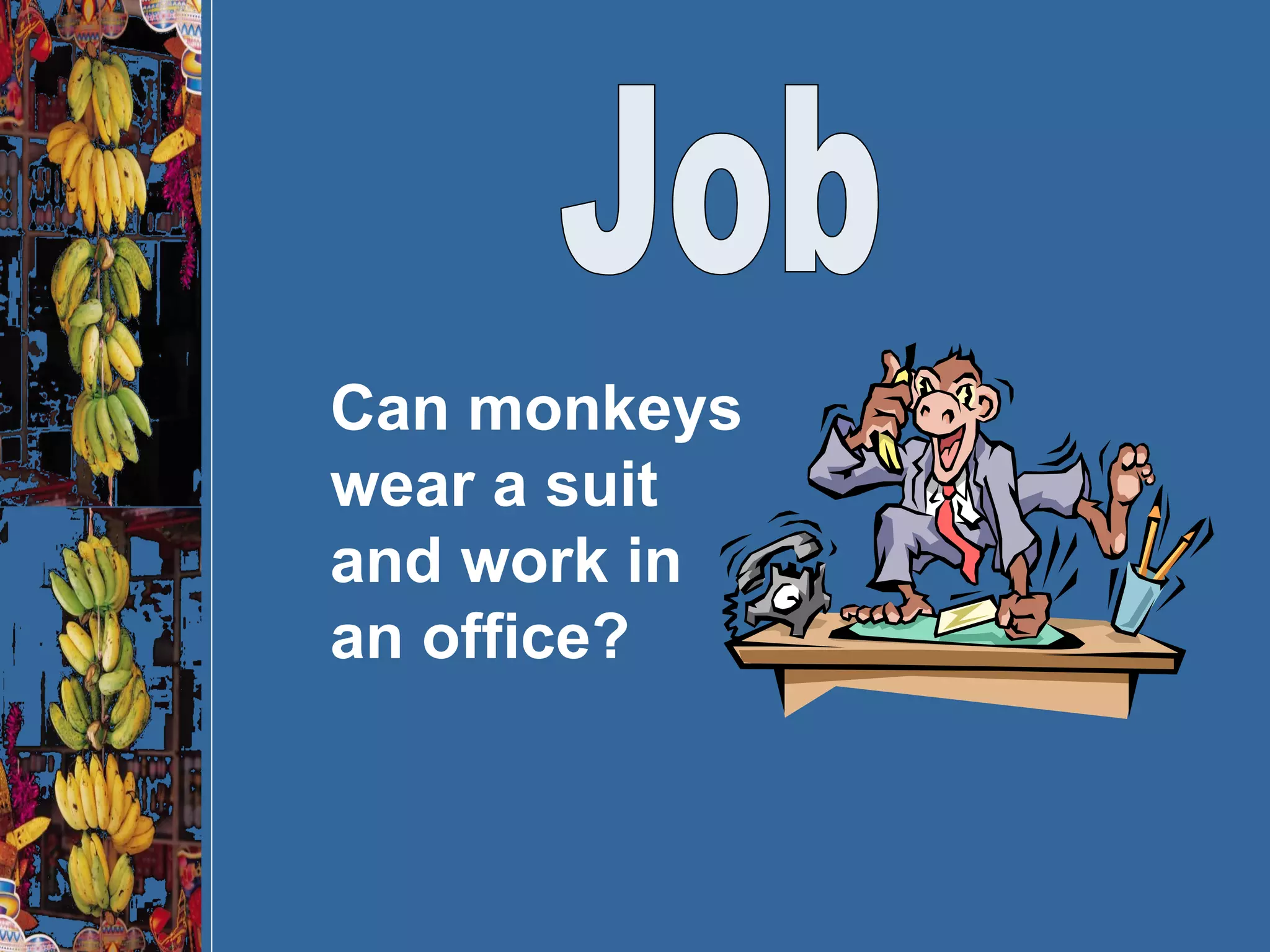 Job Can monkeys wear a suit and work in an office? 
