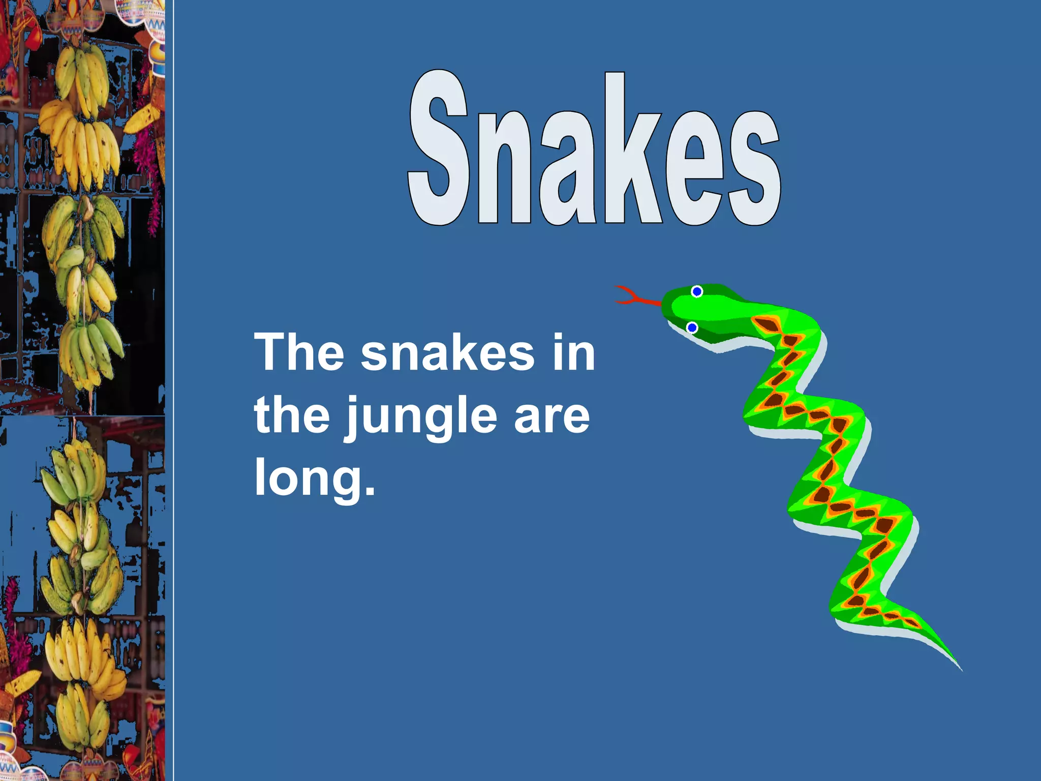Snakes The snakes in the jungle are long. 