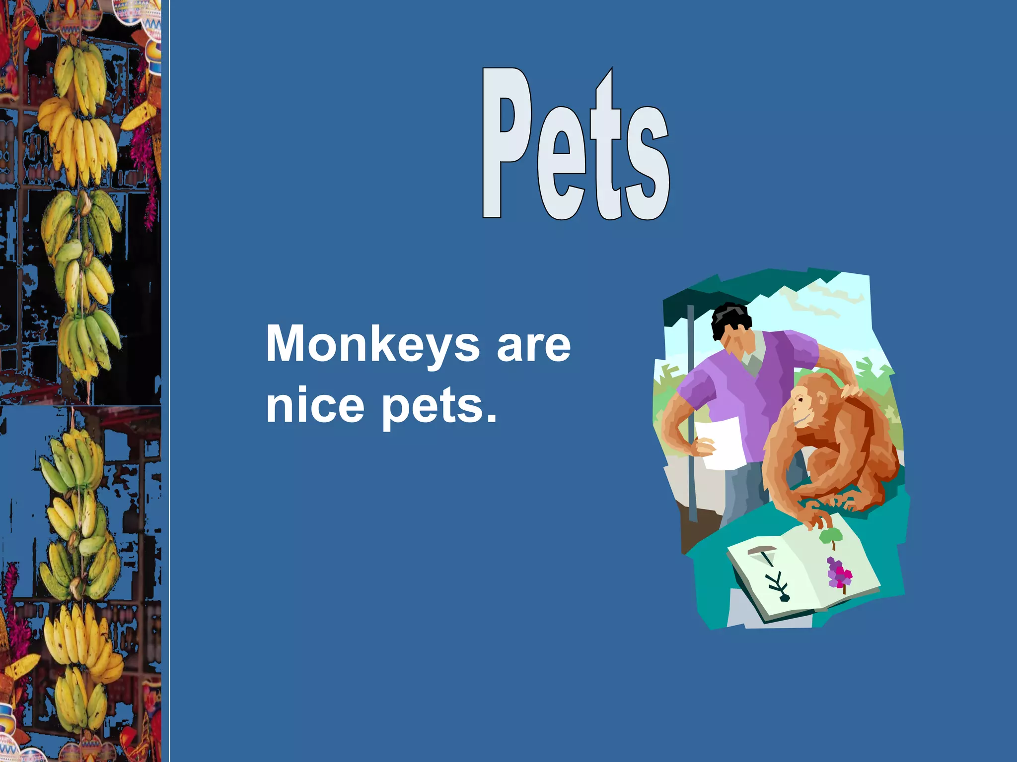 Pets Monkeys are nice pets.  