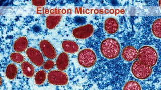 Diagnosis
Electron Microscope
 