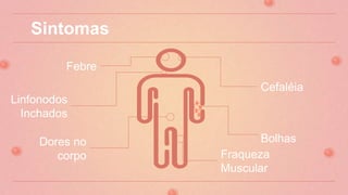 Sintomas
Cefaléia
Linfonodos
Inchados
Febre
Bolhas
Fraqueza
Muscular
Dores no
corpo
 