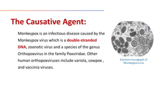 The Causative Agent:
Monkeypox is an infectious disease caused by the
Monkeypox virus which is a double-stranded
DNA, zoonotic virus and a species of the genus
Orthopoxvirus in the family Poxviridae. Other
human orthopoxviruses include variola, cowpox ,
and vaccinia viruses.
 