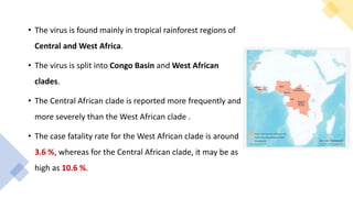 • The virus is found mainly in tropical rainforest regions of
Central and West Africa.
• The virus is split into Congo Bas...