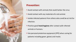 Prevention:
 Avoid contact with animals that could harbor the virus
 Avoid contact with any materials of a sick animal.
 Isolate infected patients from others who could be at risk for
infection.
 Practice good hand hygiene after contact with infected
animals or humans.
 Use personal protective equipment (PPE) when caring for
patients including gown, gloves and masks.
 