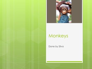 Monkeys

Done by Silva
 