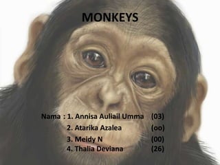 MONKEYS
Nama : 1. Annisa Auliail Umma (03)
2. Atarika Azalea (oo)
3. Meidy N (00)
4. Thalia Deviana (26)
 