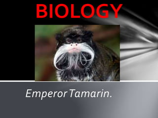 EmperorTamarin.
BIOLOGY
 