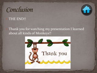 Monkey sydney rasmussen | PPTX