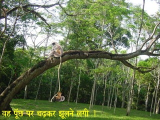 vah pU^MC pr caZ,kr JaUlanao lagaI . 
 