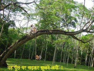 vah pU^MC pr caZ,kr JaUlanao lagaI . 
 