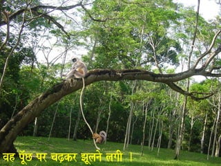 vah pU^MC pr caZ,kr JaUlanao lagaI . 
 