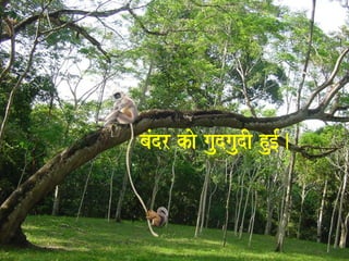 baMdr kao gaudgaudI hu[-. 
 