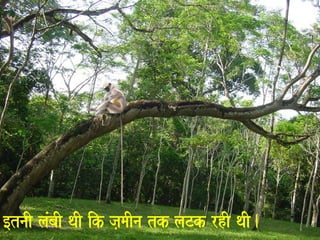 [tnaI laMbaI qaI ik ja,maIna tk laTk rhI qaI. 
 