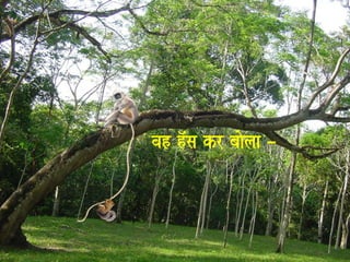 vah h^Msa kr baaolaa – 
 