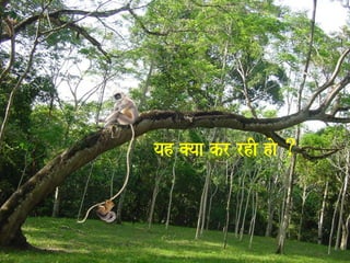 yah @yaa kr rhI hao Æ 
 