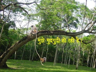 mauJao gaudgaudI hao rhI hO. 
 