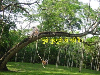 mauJao gaudgaudI hao rhI hO. 
 