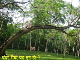 baMdr BaOyaa ,yah tuma hao Æ 
 