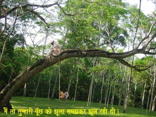 maOM tao tumharI pU^MC kao JaUlaa samaJakr JaUla rhI qaI. 
 