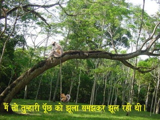 maOM tao tumharI pU^MC kao JaUlaa samaJakr JaUla rhI qaI. 
 