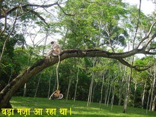 baD,a maja,a Aa rha qaa. 
 