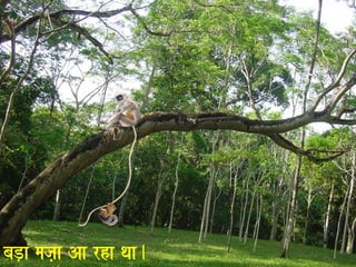 baD,a maja,a Aa rha qaa. 
 