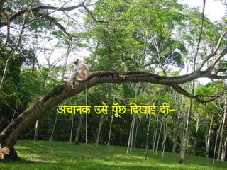 Acaanak ]sao p^MUC idKa[- dI– 
 