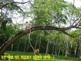 vah pU^MC pr caZ,kr JaUlanao lagaI . 
 