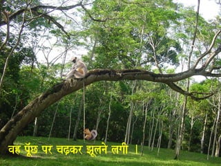 vah pU^MC pr caZ,kr JaUlanao lagaI . 
 