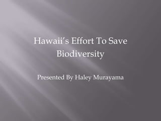 Hawaii’s Effort To Save
    Biodiversity

Presented By Haley Murayama
 