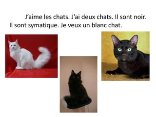 J’aime les chats. J’ai deux chats. Il sont noir.
Il sont symatique. Je veux un blanc chat.
 