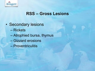 Broiler syndromes and internal parasites | PPSX