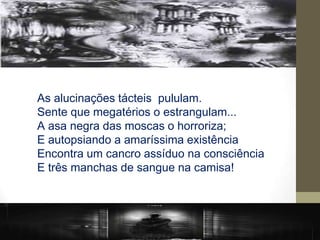 As alucinações tácteis pululam.
Sente que megatérios o estrangulam...
A asa negra das moscas o horroriza;
E autopsiando a amaríssima existência
Encontra um cancro assíduo na consciência
E três manchas de sangue na camisa!
 