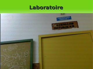 Les escaliers de secours 