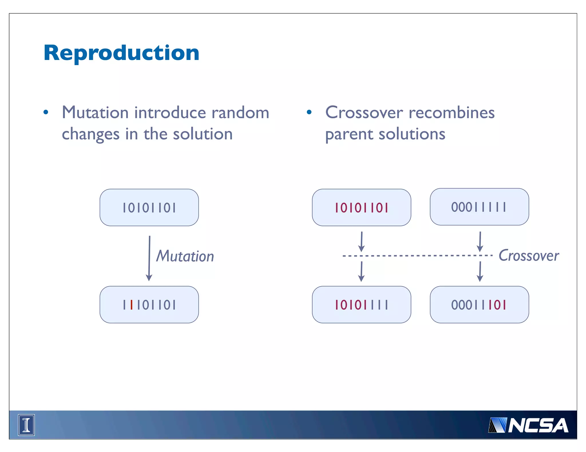 Reproduction

• Mutation introduce random   • Crossover recombines
  changes in the solution       parent solutions


         10101101                10101101     00011111


             Mutation                                  Crossover

         11101101                10101111     00011101
 