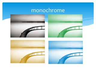 monochrome
 