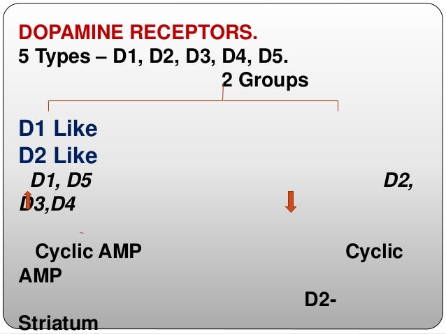 Monoamine neurotransmitters