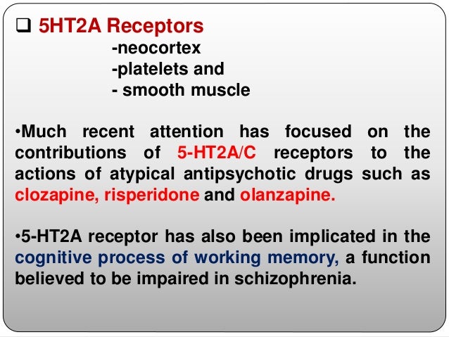 Monoamine neurotransmitters
