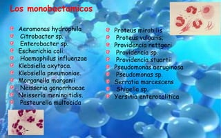 Aeromonas hydrophila
Citrobacter sp.
Enterobacter sp.
Escherichia coli.
Haemophilus influenzae
Klebsiella oxytoca.
Klebsiella pneumoniae.
Morganella morganii
Neisseria gonorrhoeae
Neisseria meningitidis.
Pasteurella multocida
Los monobactamicos
Proteus mirabilis
Proteus vulgaris;
Providencia rettgeri
Providencia sp.
Providencia stuartii
Pseudomonas aeruginosa
Pseudomonas sp.
Serratia marcescens
Shigella sp.
Yersinia enterocolitica
 