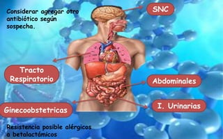 Abdominales
SNC
I. Urinarias
Ginecoobstetricas
Tracto
Respiratorio
Considerar agregar otro
antibiótico según
sospecha.
Resistencia posible alérgicos
a betalactámicos
 